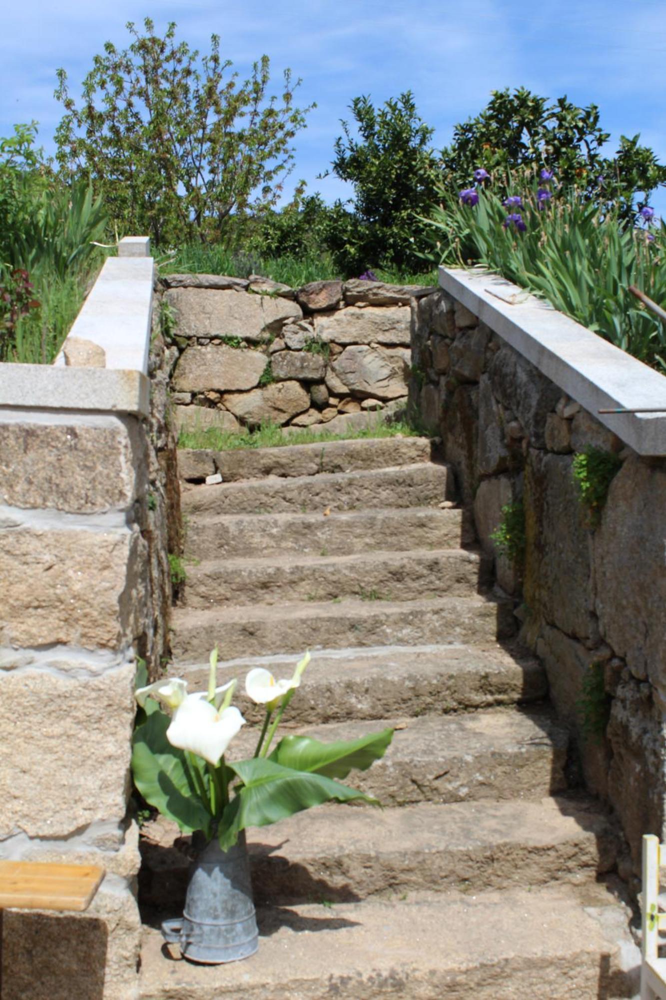 Casas Velhas Holiday home Santo Aleixo de Alem Tamega